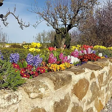 Nocleg ze śniadaniem Le Clos De Tournes Echinghen
