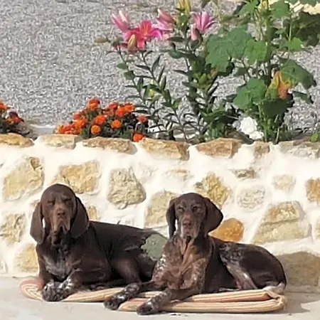 B&B Le Clos De Tournes 3*
