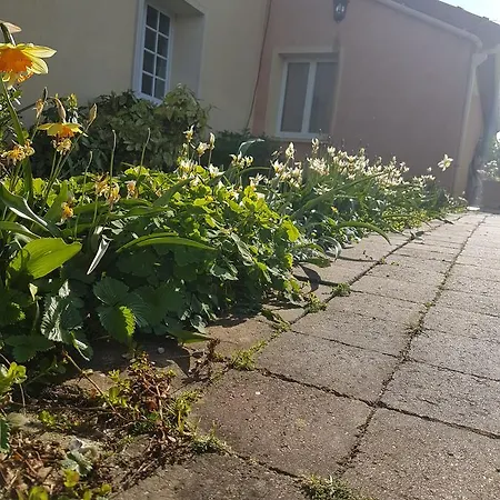 Le Clos De Tournes Bed & Breakfast